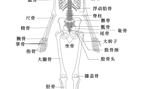 怀孕期间吃什么不长肉而且营养好-怀孕期间吃什么水果最好、怀孕期间吃什么好对胎儿好 -怀孕期间吃什么夜宵网